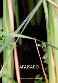 Apaisado (ampliar imagen)