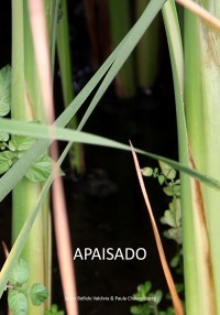 Apaisado (ampliar imagen)