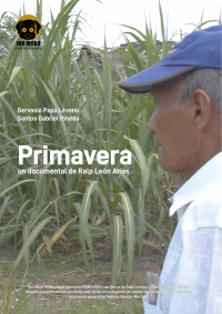 Primavera (ampliar imagen)