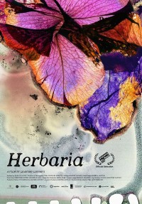 Herbaria (ampliar imagen)