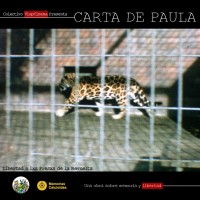 Carta de Paula (ampliar imagen)