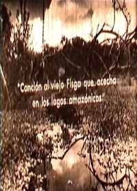 Canción al viejo Fisga que acecha en los lagos amazónicos (ampliar imagen)