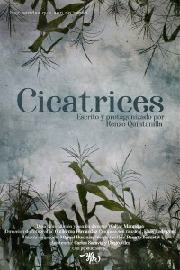 Cicatrices (ampliar imagen)