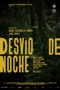 Desvío de noche (ampliar imagen)