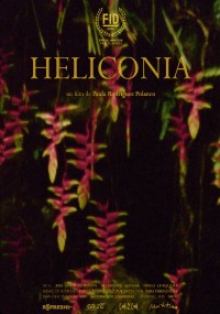 Heliconia (ampliar imagen)