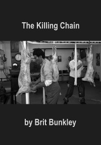 The Killing Chain (ampliar imagen)
