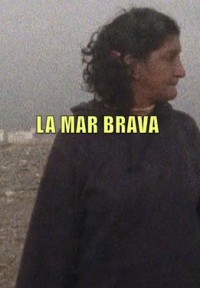 La mar brava (ampliar imagen)