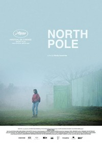 North Pole (ampliar imagen)