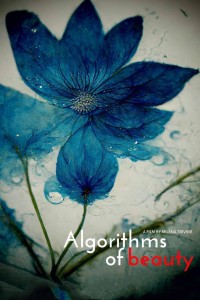 Algorithms of Beauty (ampliar imagen)