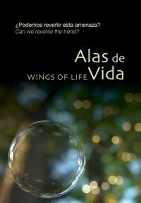 Alas de vida (ampliar imagen)