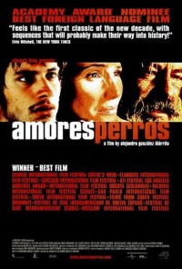 Amores perros (ampliar imagen)