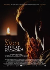 Del amor y otros demonios (ampliar imagen)