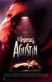 El despertar de agustín (ampliar imagen)