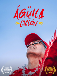 El águila del ciclón (ampliar imagen)