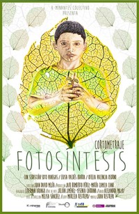 Fotosíntesis (ampliar imagen)