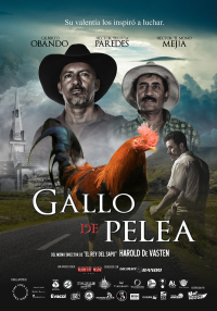 Gallo de pelea (ampliar imagen)