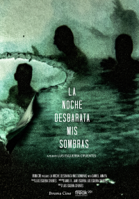 La noche desbarata mis sombras (ampliar imagen)