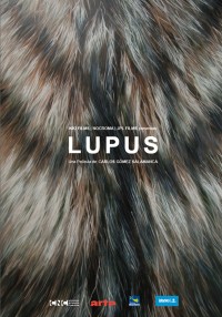 Lupus (ampliar imagen)