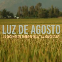 Luz de agosto (ampliar imagen)