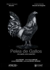 Pelea de gallos (ampliar imagen)