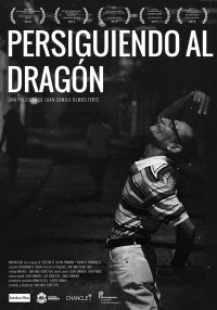 Persiguiendo al dragón (ampliar imagen)