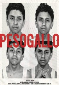 Peso gallo (ampliar imagen)