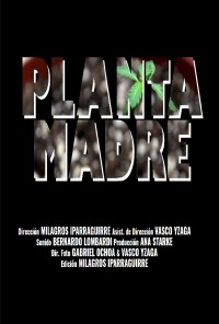 Planta Madre (ampliar imagen)