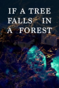 If a Tree Falls in a Forest (ampliar imagen)