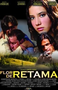 Flor de Retama (ampliar imagen)