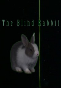 The Blind Rabbit (ampliar imagen)